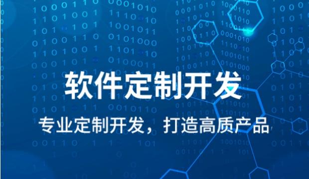 為何大家選用軟件定制？