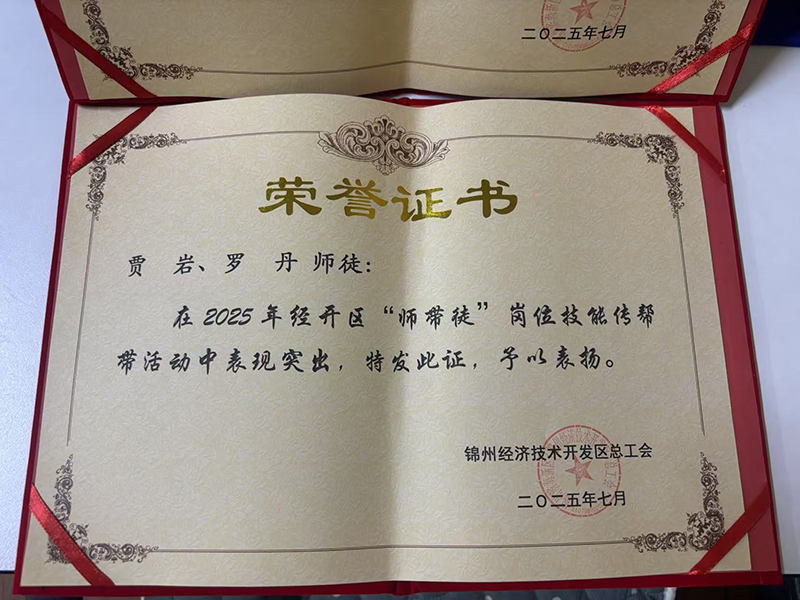 賈巖、羅丹師徒榮獲經(jīng)開區(qū)“師帶徒”崗位技能傳幫帶活動表彰